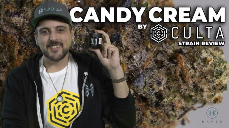 Candy Cream by Culta (Haven Strain of the week)