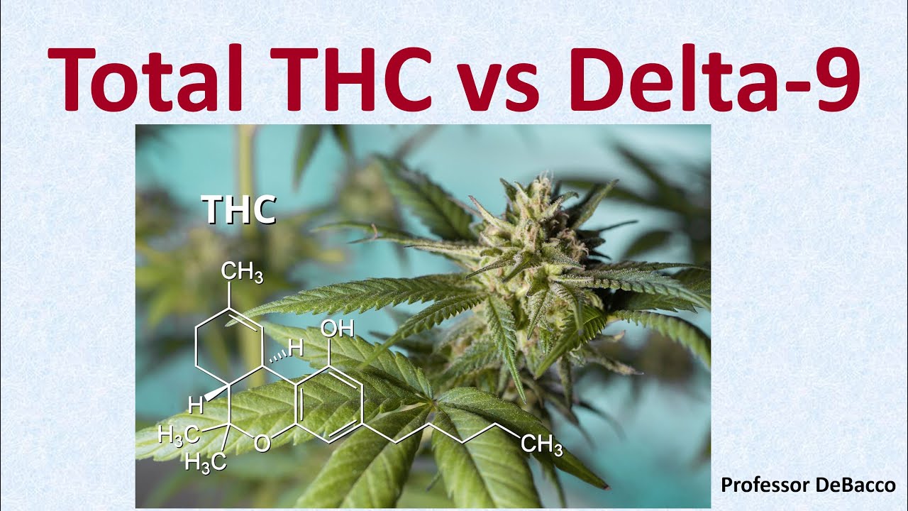 Total THC Vs Delta 9 - ISMOKEIT.NET