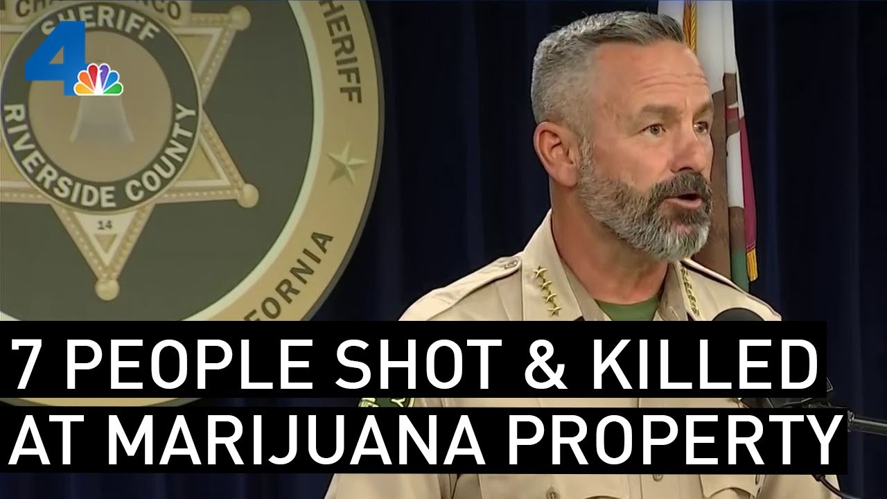 7 People Killed in Shooting Inside an Illegal Marijuana Grow House ...