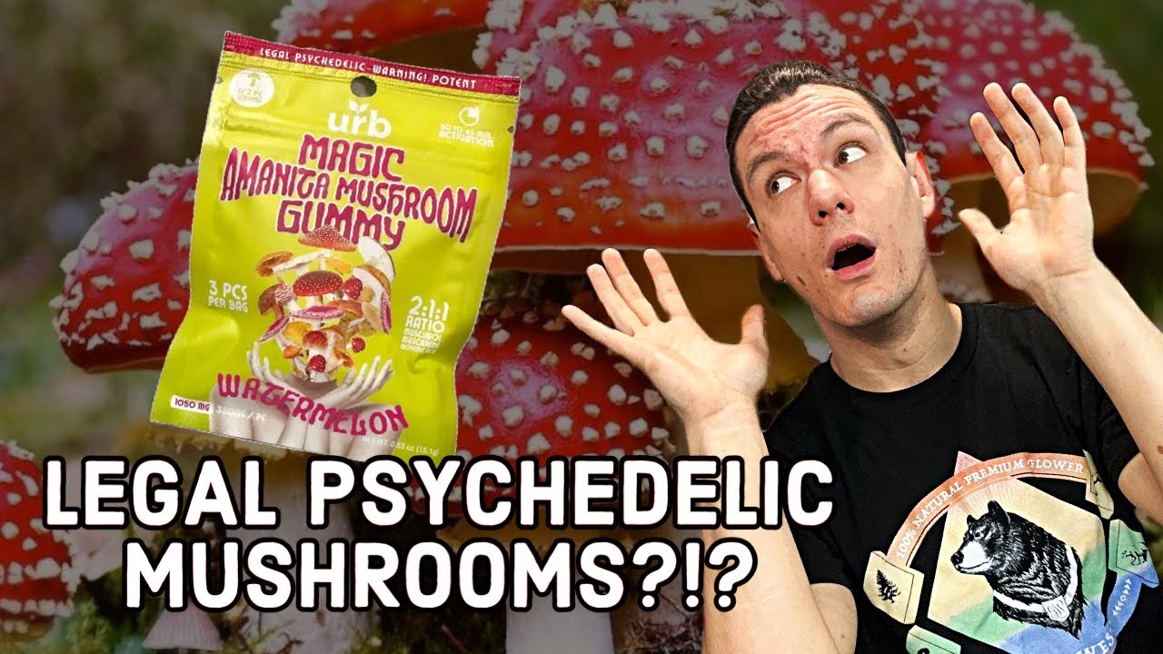 LEGAL Psychedelic Mushrooms?! Urb Amanita Muscaria Mushroom Gummies