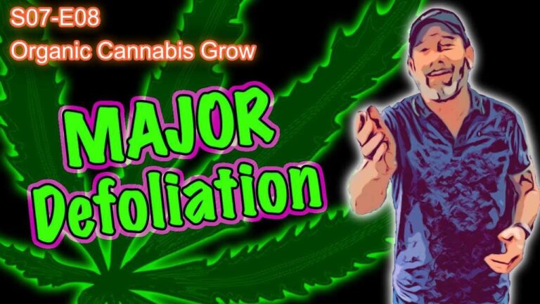 1737037719 Maxresdefault.jpg