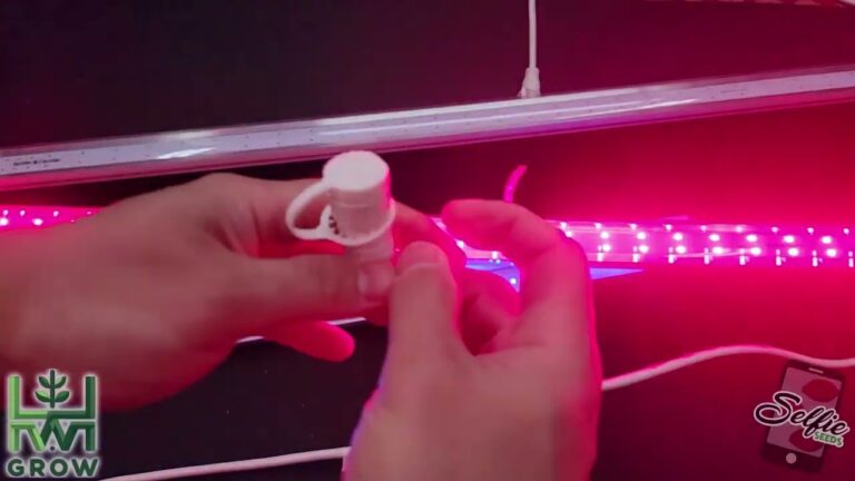 1737037987 Maxresdefault.jpg