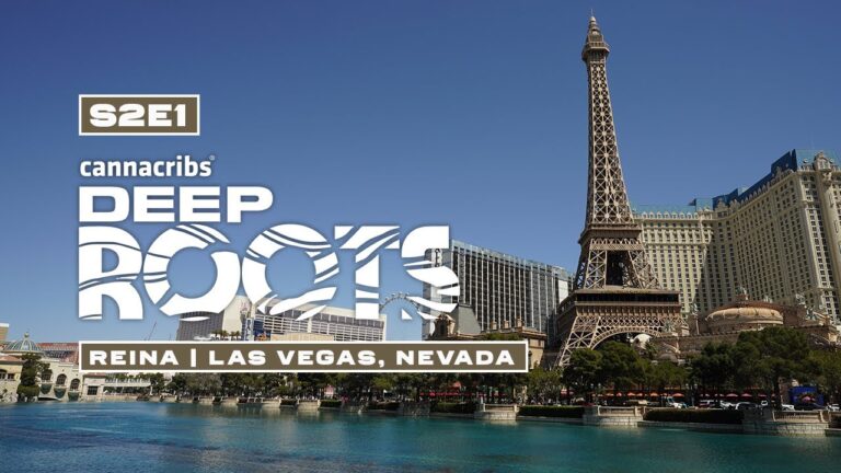 1738768908 Maxresdefault.jpg