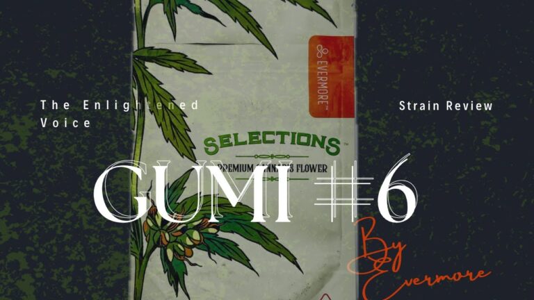 1738773993 Maxresdefault.jpg