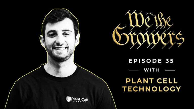 1745002652 maxresdefault.jpg