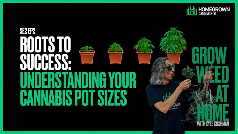 1745002776 maxresdefault.jpg