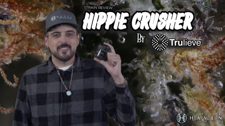 1745005285 maxresdefault.jpg