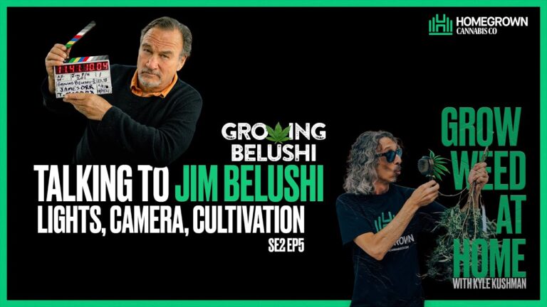 1746121001 maxresdefault.jpg