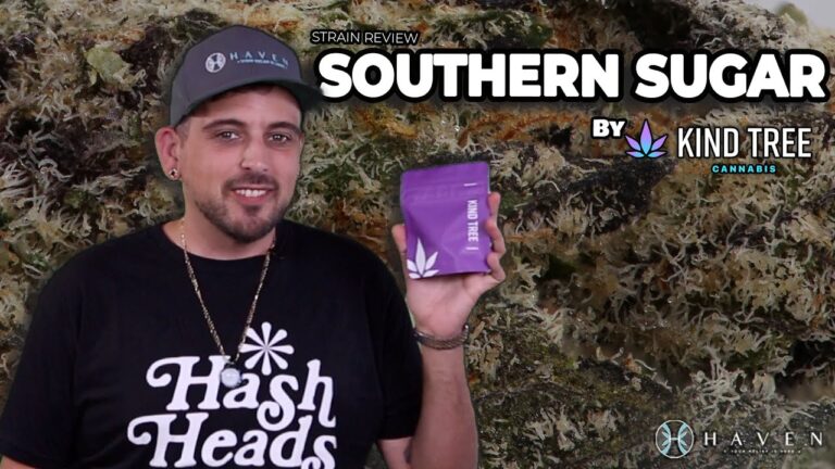 1746871780 maxresdefault.jpg