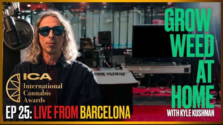 1747593760 maxresdefault.jpg