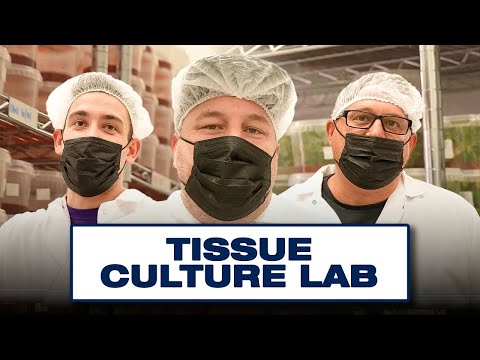 1747680444 hqdefault.jpg