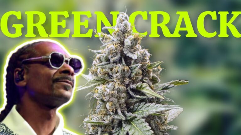 1749261351 maxresdefault.jpg