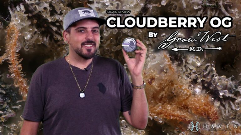 1750799518 maxresdefault.jpg