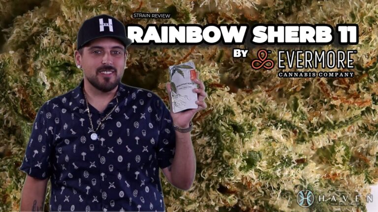 1751592963 maxresdefault.jpg