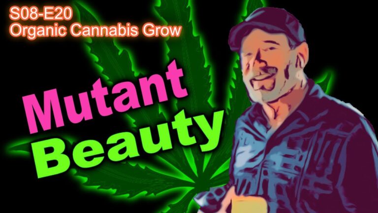 1752599729 maxresdefault.jpg