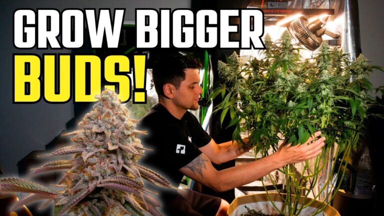 1752600104 maxresdefault.jpg