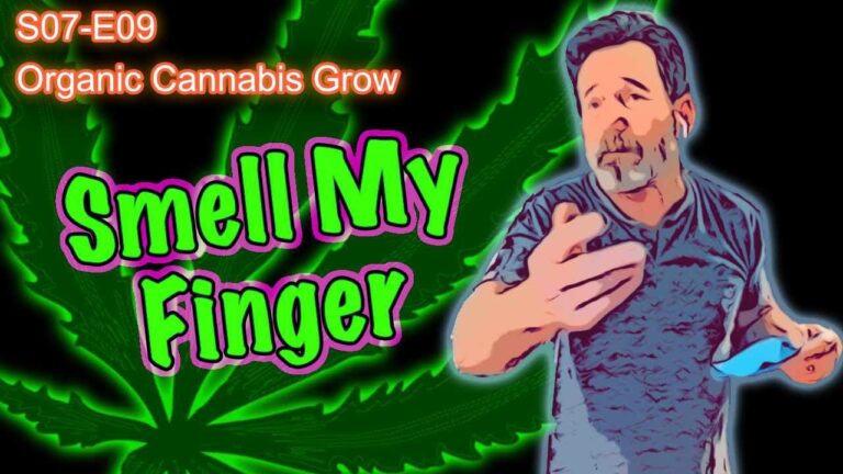 1754415875 maxresdefault.jpg