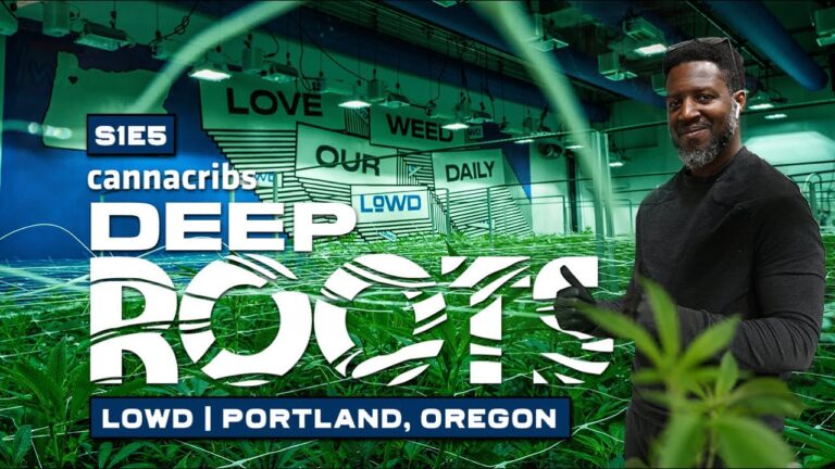 1755556219 maxresdefault.jpg