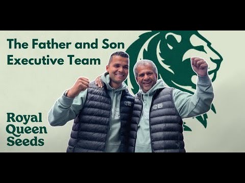 1755629310 hqdefault.jpg