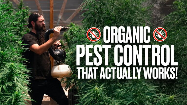 1755688200 maxresdefault.jpg