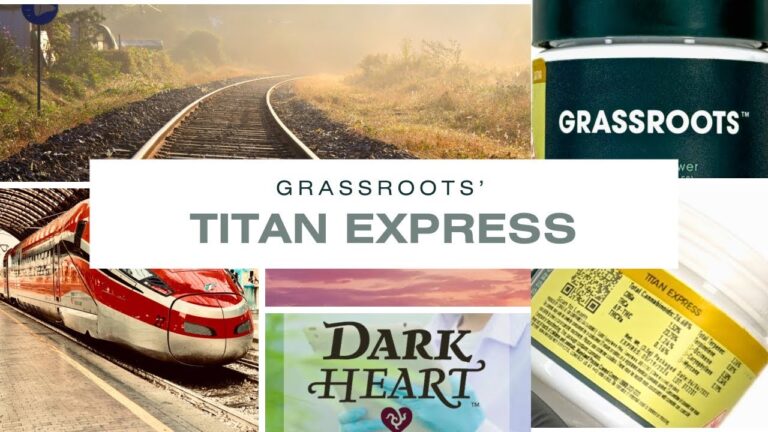 1755727321 maxresdefault.jpg