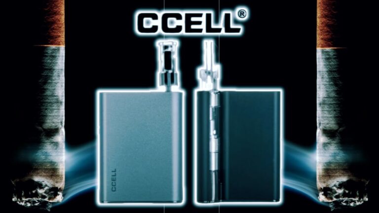 1755975177 maxresdefault.jpg