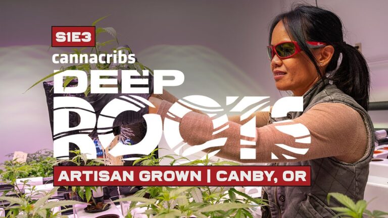 1757013444 maxresdefault.jpg