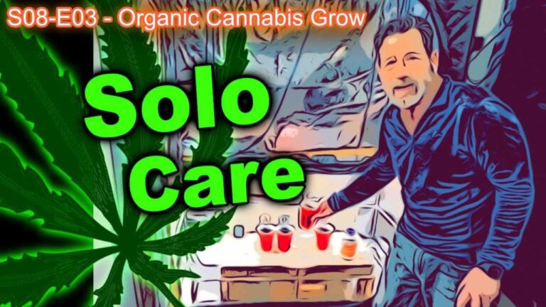 1758234022 maxresdefault.jpg