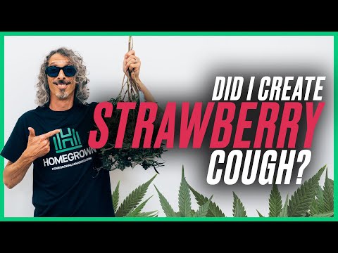 1758235102 hqdefault.jpg