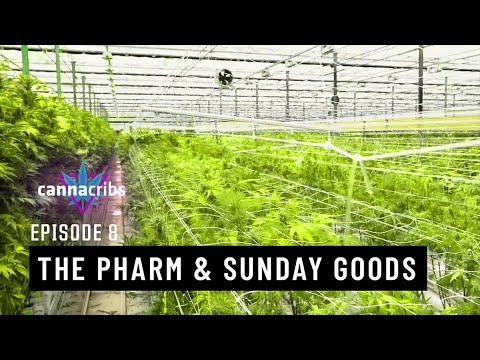 1758570148 hqdefault.jpg