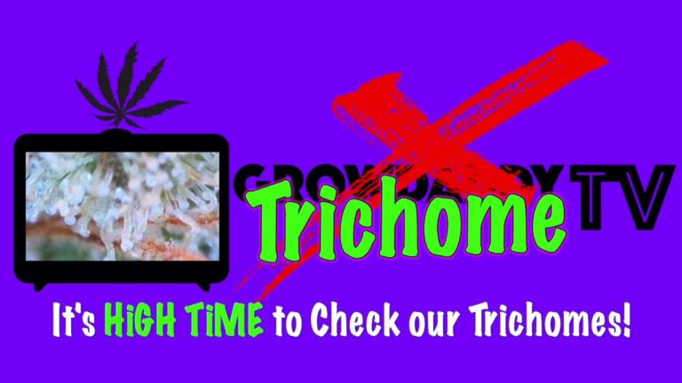 1758839378 maxresdefault.jpg