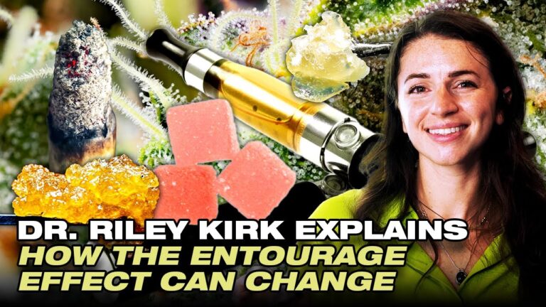 1759436530 maxresdefault.jpg