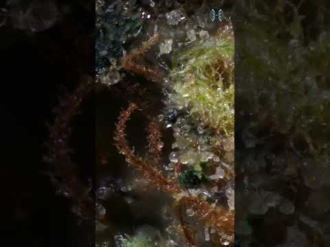 1759875287 hqdefault.jpg