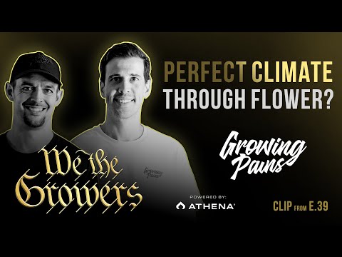 1760051508 hqdefault.jpg