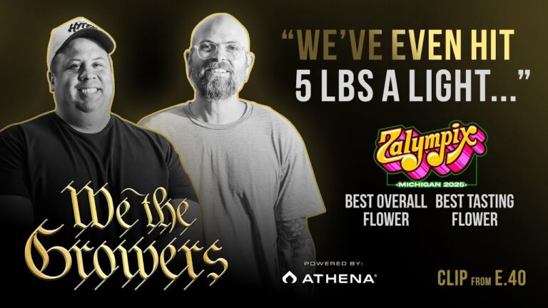 1762886573 maxresdefault.jpg