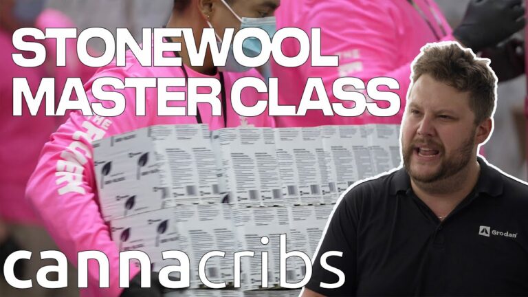 1763439576 maxresdefault.jpg