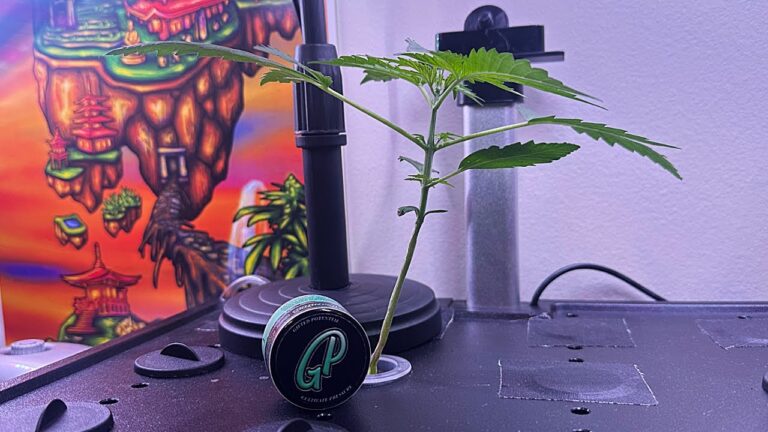 1763491177 maxresdefault.jpg