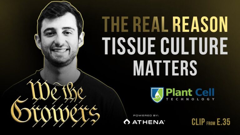 1763493345 maxresdefault.jpg