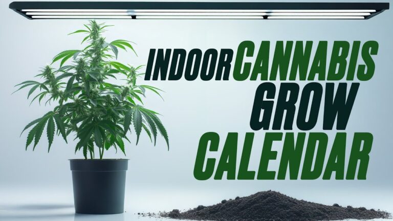 1763493449 maxresdefault.jpg