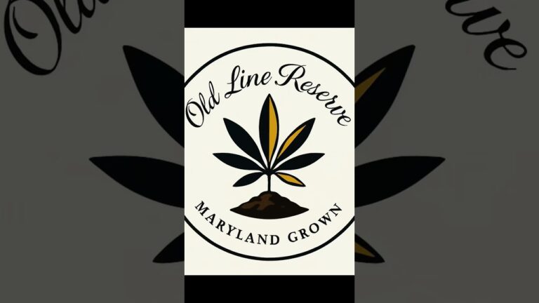 1763499341 maxresdefault.jpg