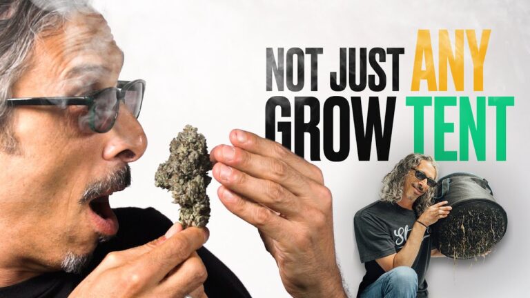 1765089028 maxresdefault.jpg