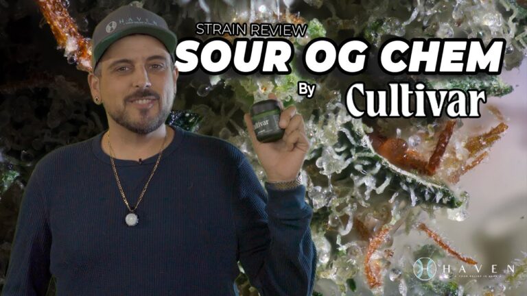 1765263124 maxresdefault.jpg