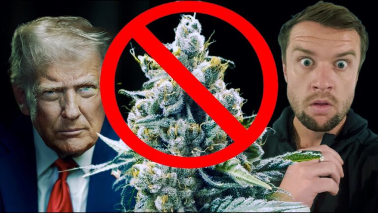 1766215343 maxresdefault.jpg