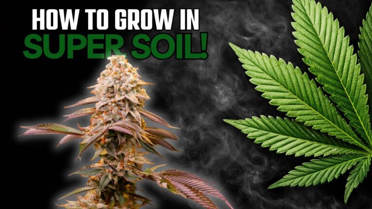 1766299941 maxresdefault.jpg