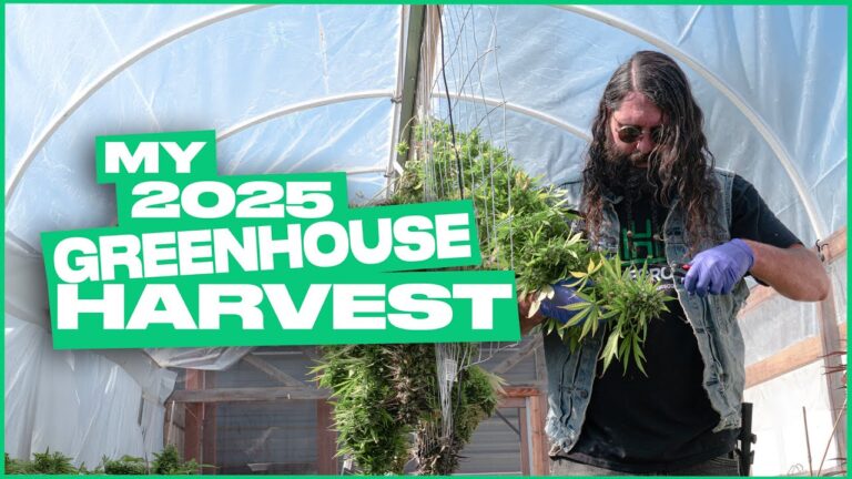 1766300690 maxresdefault.jpg