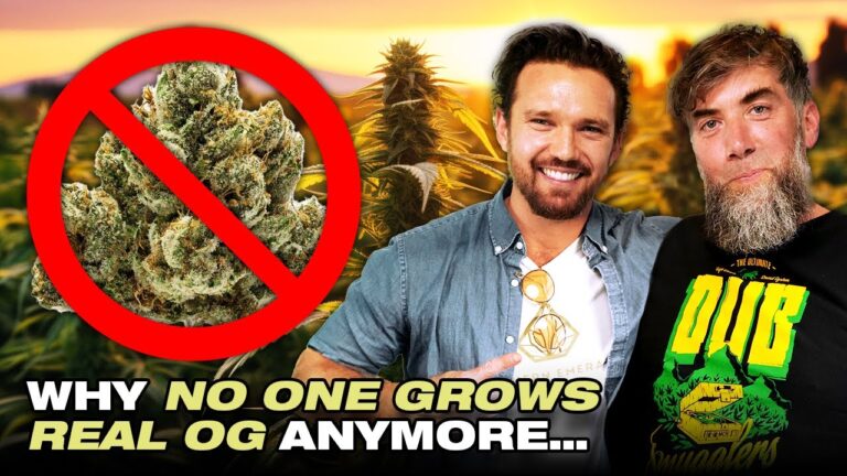 1766301406 maxresdefault.jpg