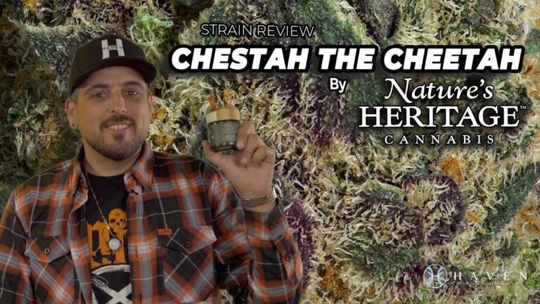 1766561897 maxresdefault.jpg