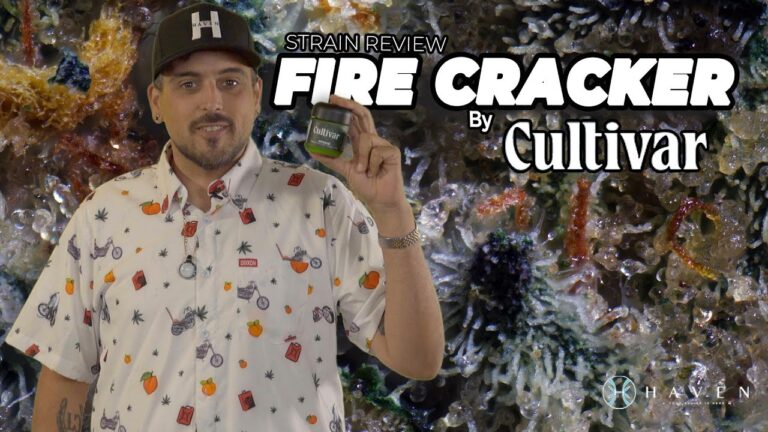 1767095429 maxresdefault.jpg