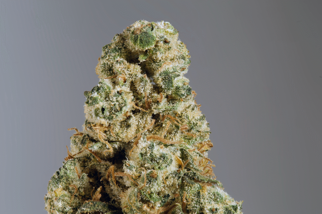 Black Lime Reserve Nug 1 1.1