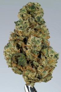 Black Lime Reserve Nug